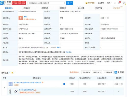 科大訊飛落子大理，智能科技公司聚焦信息系統(tǒng)集成服務(wù)